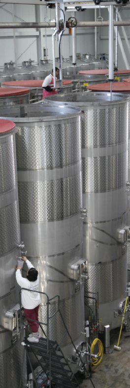 Wine Tanks